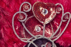 carnival 135