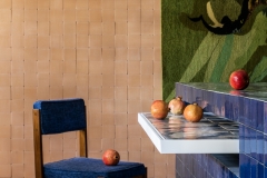 mandril_arquitetura_02_credito_MCA_Estudio