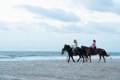 Amelia Island - Horseback Riding