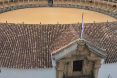 galeria (10)