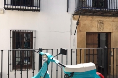 galeria (12)