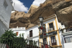 galeria (14)