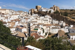 galeria (15)