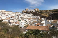 galeria (16)