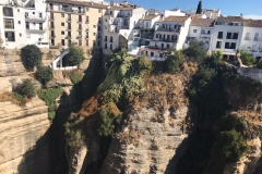 galeria (6)