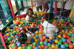 DSCN4154