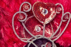 carnival 135